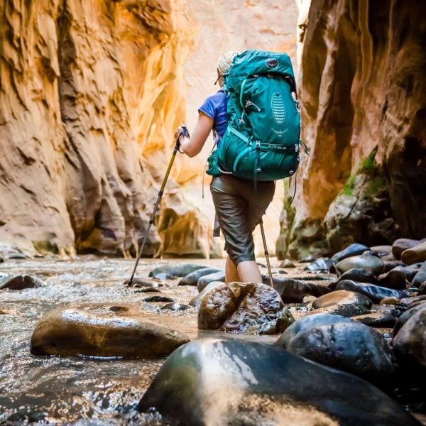 Campsaver 限時低至7折