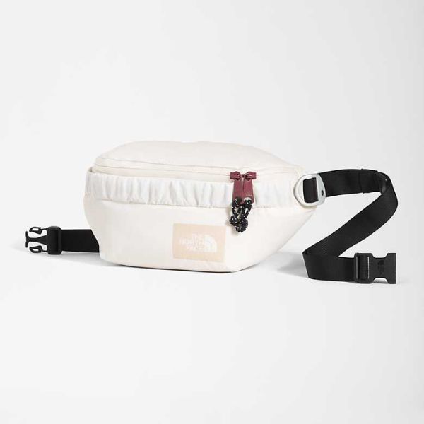 The North face Mountain Lumbar Pack 北面 腰包