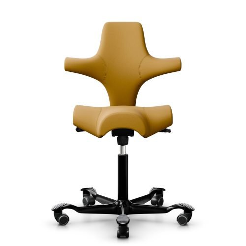 HAG Capisco Chair
