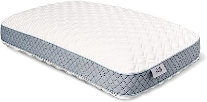 Sealy Molded Bed Pillow for Pressure Relief