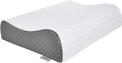 Sealy Memory Foam Contour Pillow