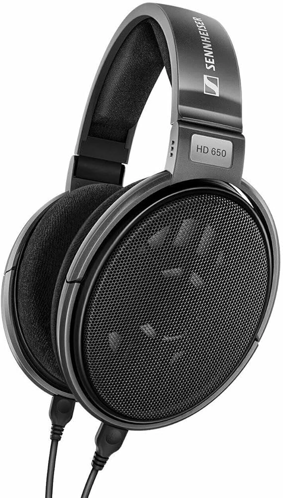 Sennheiser Consumer Audio HD 650 耳罩式耳機
