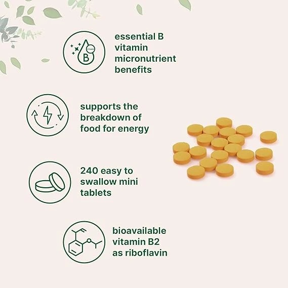 Micro Ingredients Riboflavin Vitamin B2