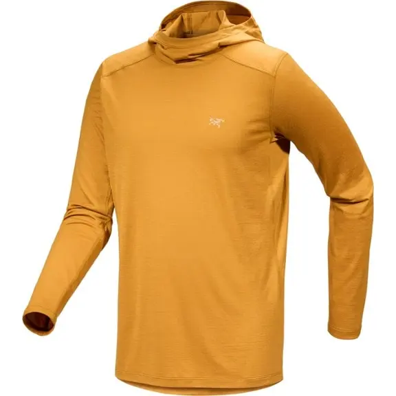 Arc’teryx Ionia Merino Wool Hoodie 4商品
