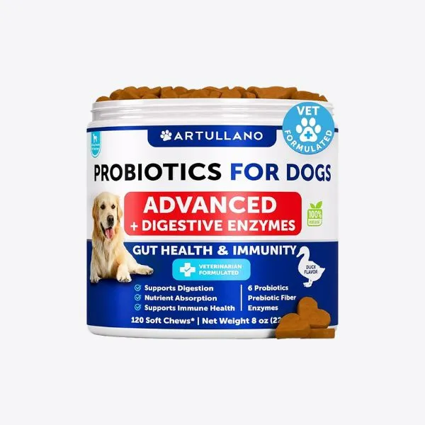 2025 犬用益生菌推薦｜人氣配方與保健重點整理 1