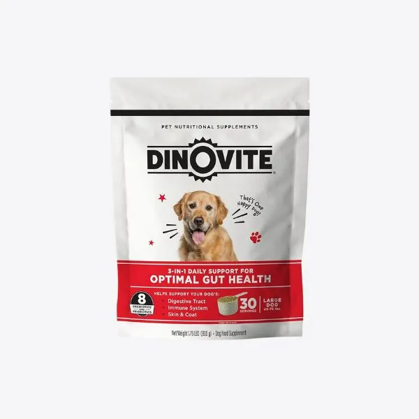 2025 犬用益生菌推薦｜人氣配方與保健重點整理 2