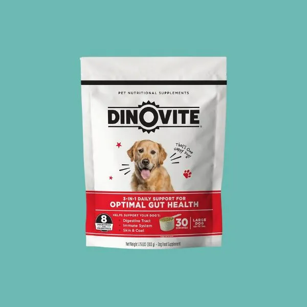 2025 犬用益生菌推薦｜人氣配方與保健重點整理