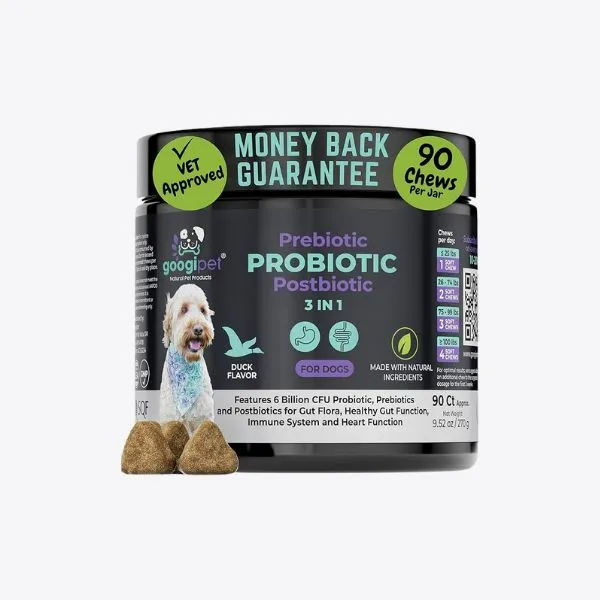 2025 犬用益生菌推薦｜人氣配方與保健重點整理 4