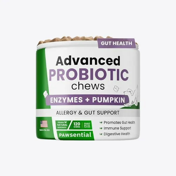 2025 犬用益生菌推薦｜人氣配方與保健重點整理 6