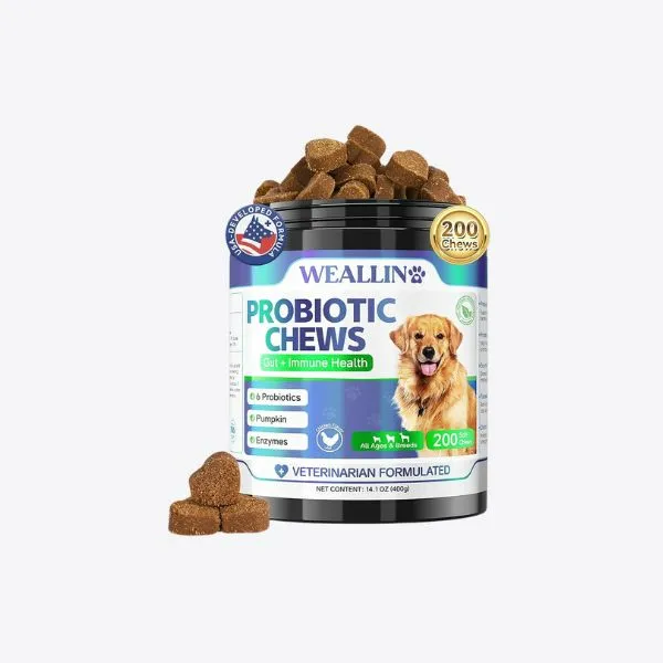 2025 犬用益生菌推薦｜人氣配方與保健重點整理 9