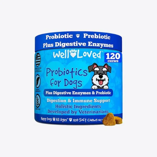 2025 犬用益生菌推薦｜人氣配方與保健重點整理 10