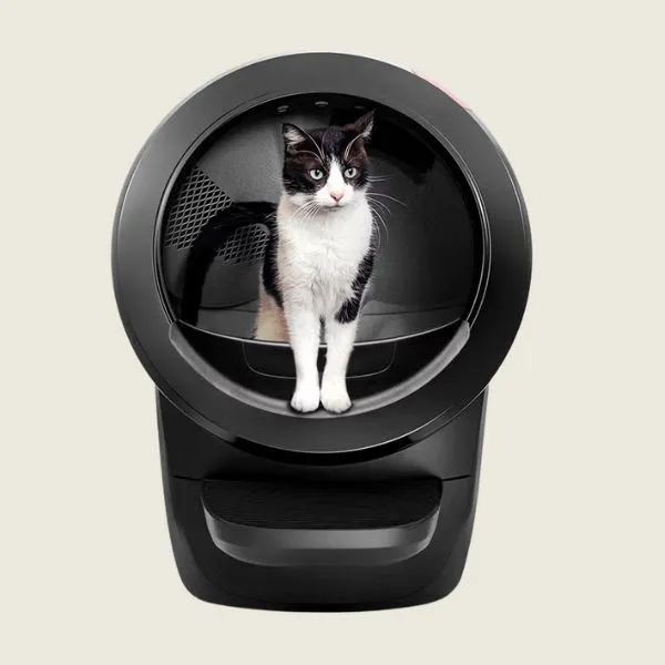 小空間與多貓家庭適用自動貓砂機推薦｜2025 年最新 1